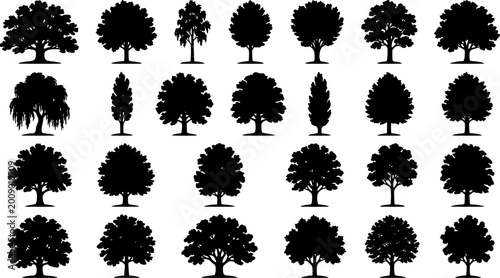 various deciduous trees silhouettes on the white background. vector set. PNG white background
