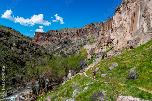 Bild auf Leinwand Hiker on Scenic Canyon Trail in Cappadocia, Turkey