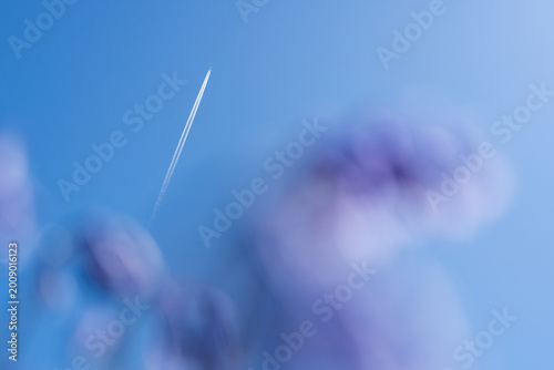 A plane in a clear blue sky, with flowers in the foreground.