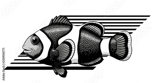 Foto Black and white illustration of a clownfish with graphic background