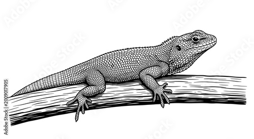 Foto Detailed illustration of a lizard perched on a branch against a white backdrop