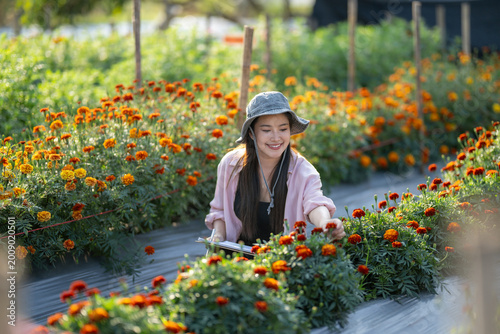 Foto Happy woman gardening marigold flowers in field