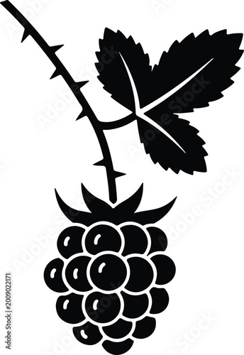 Silhouette vector illustration of a ripe fresh blackberry fruit design