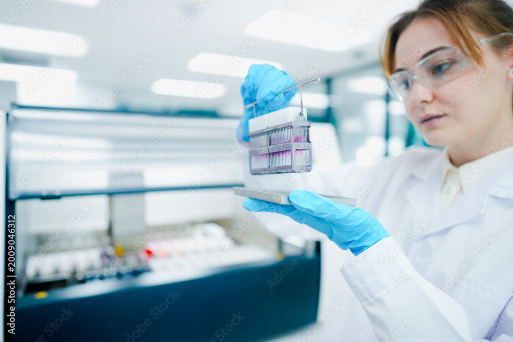 Fototapeta premium Pathological technician holding biopsy slide rack for quality inspection in clinical lab. Medical scientist preparing tissue sections for microscopic oncological diagnosis.