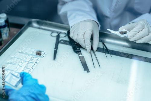 Konstfotografi Forensic pathologist extracting trace evidence specimen via precision forceps