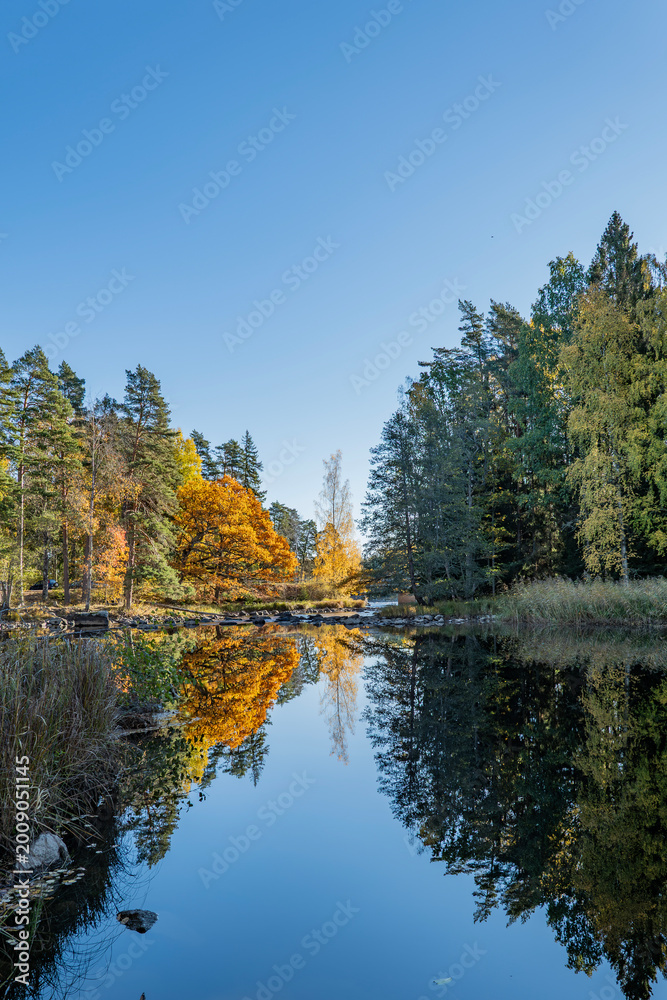 Obraz premium Swedish river and natural salmon area in autunn. Farnebofjasrden national park in north of Sweden