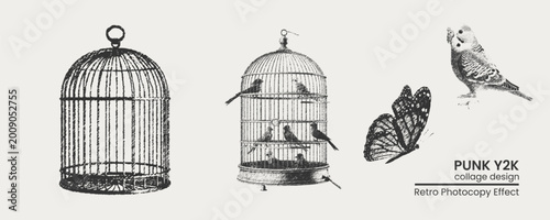 Photos Vintage bird cages, butterfly and budgie bird illustration set retro photocopy e