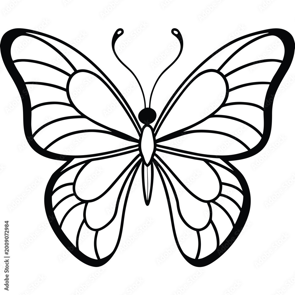 Obraz premium Betterfly vector