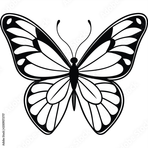 Φωτογραφία Betterfly vector