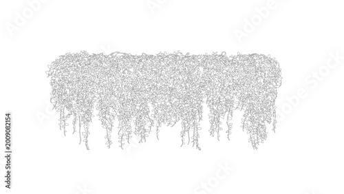 Horizontal hanging plant wall decoration with trailing vines on transparent background.