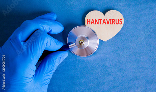 Hantavirus medical words symbol. Concept words Hantavirus on beautiful white card. Beautiful blue background. Doctor hand. Stethoscope. Wooden heart. Medical Hantavirus concept. Copy space.
