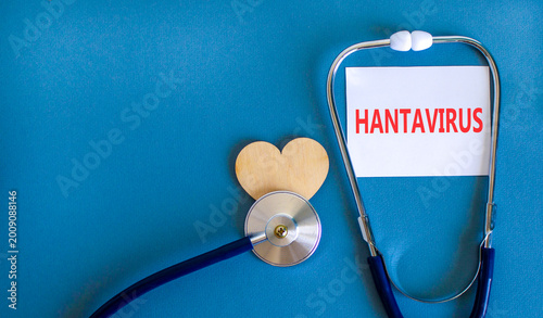 Hantavirus medical words symbol. Concept words Hantavirus on beautiful white card. Beautiful blue background. Stethoscope. Wooden heart. Medical Hantavirus concept. Copy space.