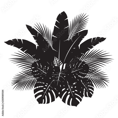 Tropical Palm Tree Leaf Silhouette Illustration.
