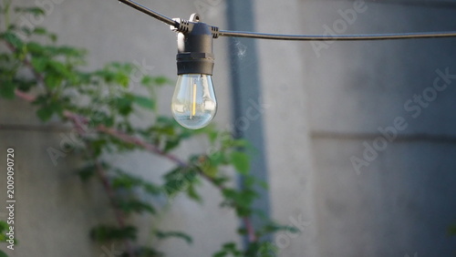 Konstfotografi żarówka solarna