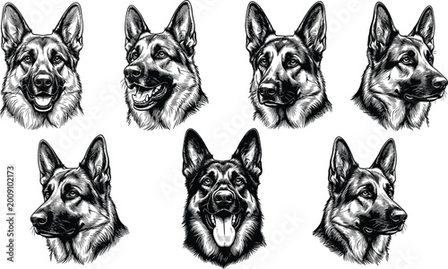 Photos Vintage German Shepherd Dog Portrait Set Featuring Detailed Engraving Style Head