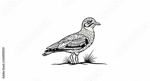 Stylized line art of a standing bird with intricate feather detail