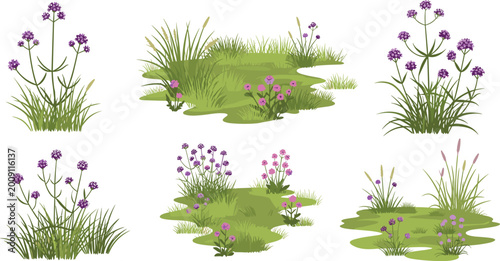 Wild Purple Flower and Grass Meadow Scene Set Wetland Nature Flat Vector Illustration Collection Isolated