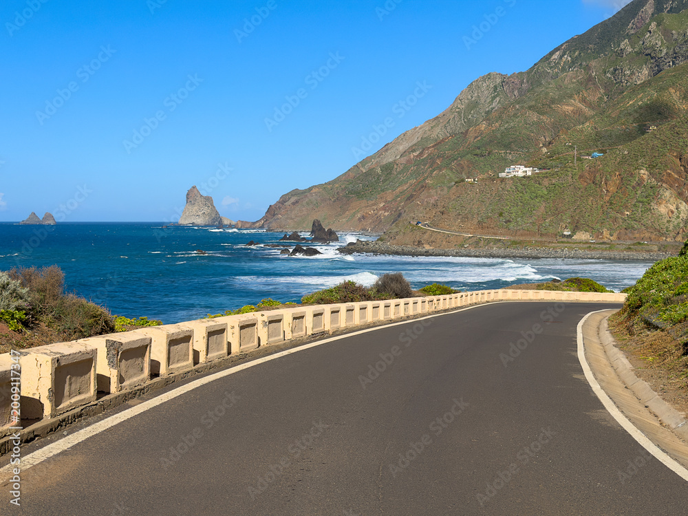 Fototapeta premium palms at highly popular beach las Teresitas, Tenerife, Spain