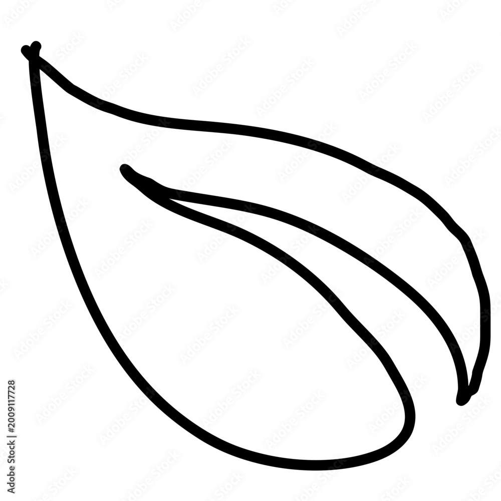 Obraz premium Hand drawn leaves 1