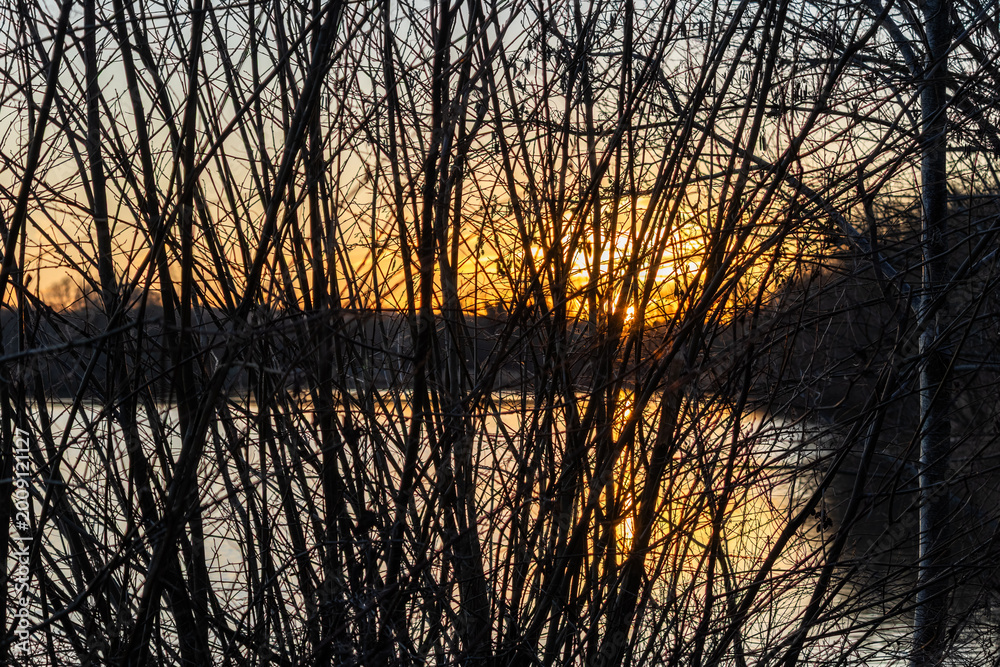Obraz premium sunset on the lake through some branches