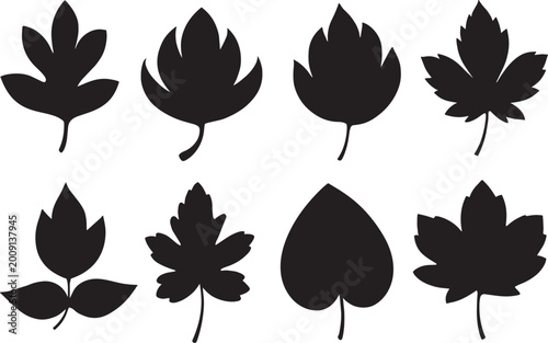 Minimalist leaf silhouettes set with different tree foliage types for branding.