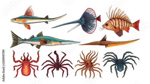 Obraz na płótnie Mysterious aquatic creatures: An illustration showcasing the diverse and imaginative life in the aquatic world
