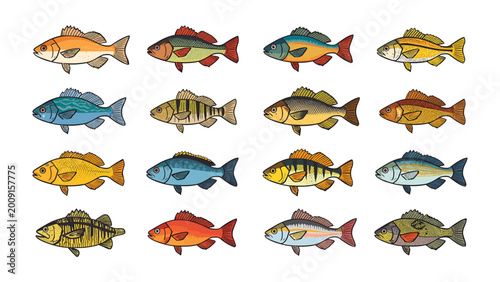 Tableau sur toile Diverse Marine Life: A vibrant collection of stylized fish, each showcasing unique colors and patterns, a testament to the diversity of underwater ecosystems