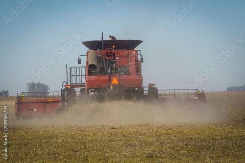 Back view of a combine harvester working in a soybean field