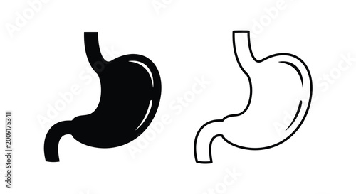 Cuadro en lienzo Human stomach anatomy illustration black and white line art depiction