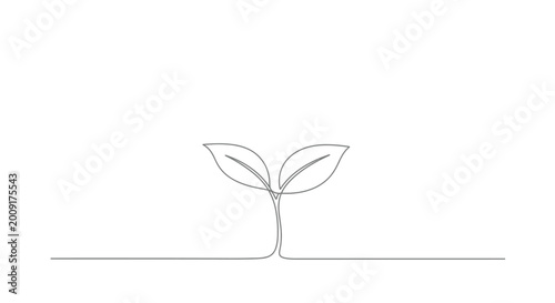 Young plant seedling with two leaves in simple continuous line art style