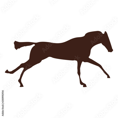 Obraz na płótnie Horse galloping motion sequence 6