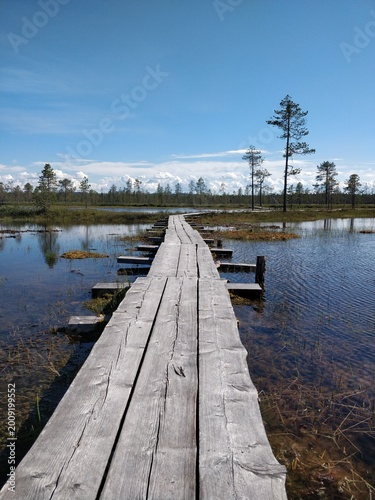A vast and quiet bog landscape unfolds in a Finnish national park. The boardwalk provides a safe path through the wet and beautiful wilderness