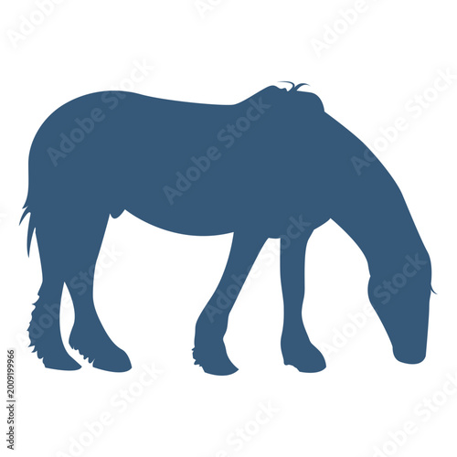 Photography Horse graze silhouette
