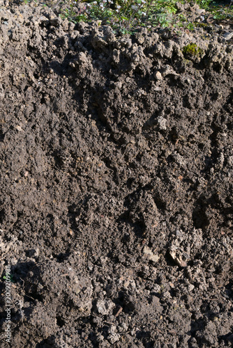 Fotografía fresh dark soil texture in sunlight showcasing natural earth richness and garden
