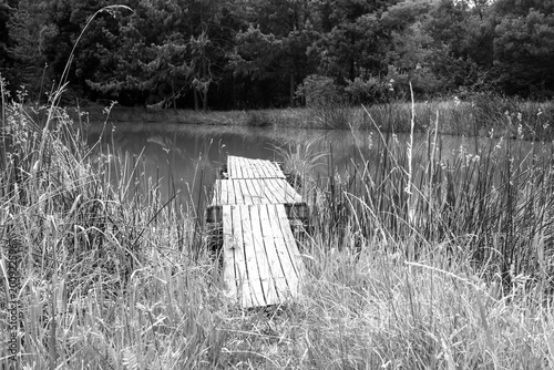 Fotografi Black and White view of an old rickety pier extending into a small fishing lake,
