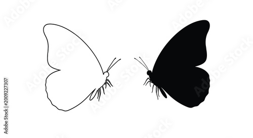 Tableau sur toile Butterfly pair outline and solid black silhouette