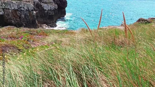 Vibrant green coastal grass and reeds sway in the wind on a rocky Atlantic cliff overlooking sparkling turquoise ocean waves, capturing a fresh and rhythmic natural seaside scene.
