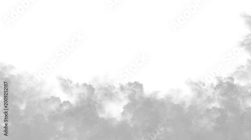 Bild auf Leinwand Grey foggy forest landscape isolated on white background, illustration
