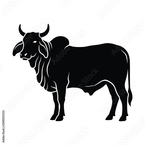 Black silhouette of a standing zebu cow with horns isolated on white background