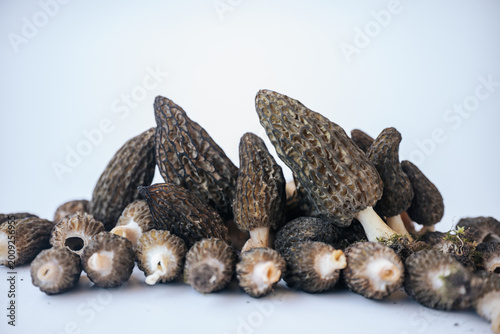 Foto Fresh moraine mushrooms arranged on a light background with honeycomb caps, cut stems, earthy tones and ample text space