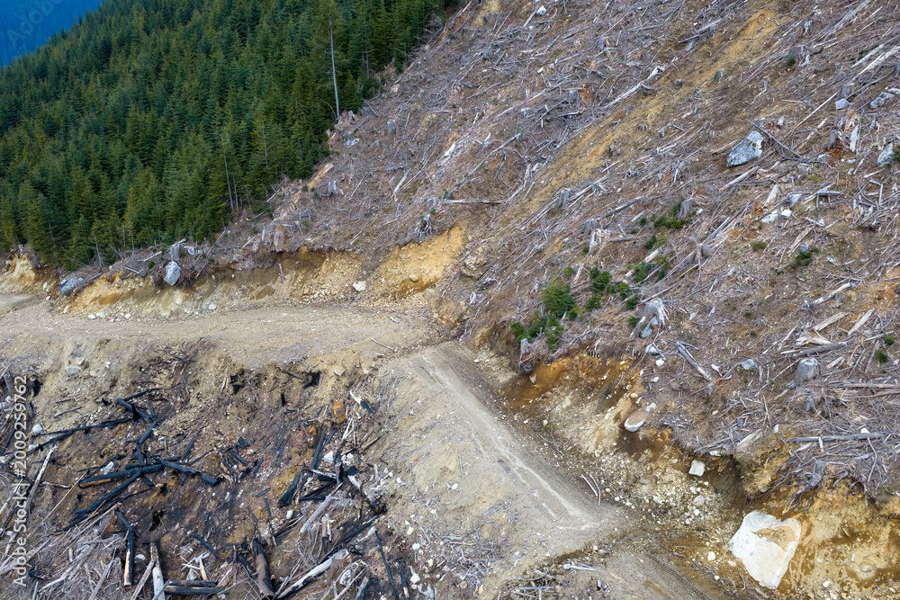 Fototapeta premium Clearcut Deforestation and Erosion on a Steep Mountain Slope in British Columbia, Canada