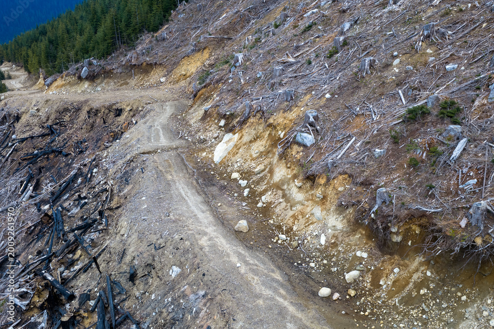 Fototapeta premium Clearcut Mountain Slope With Tree Stumps And Erosion Along Dirt Road In British Columbia, Canada