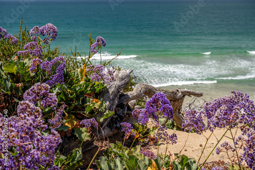 South Carlsbad State Beach