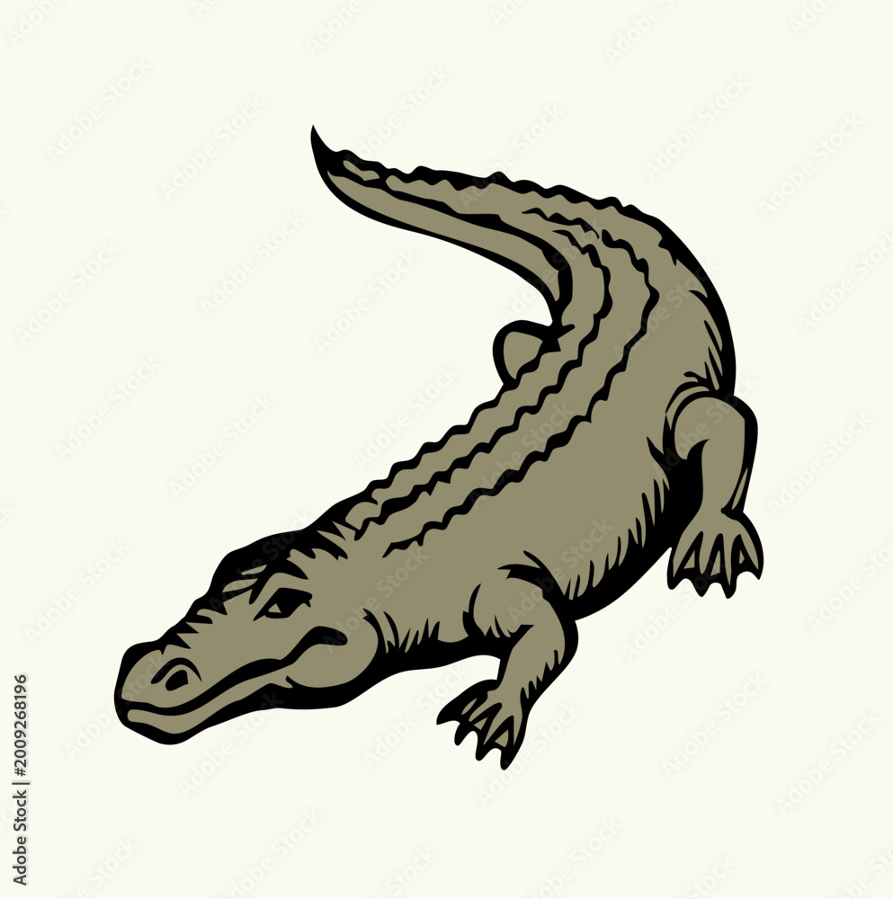Fototapeta premium Vector drawing. The crocodile lies on the ground
