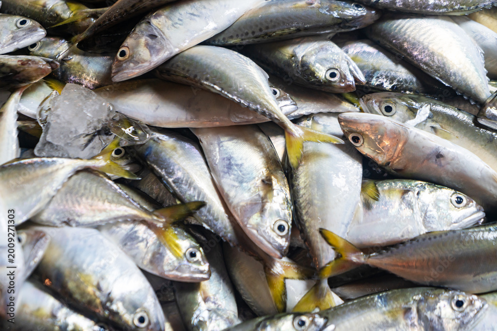 Obraz premium Fresh Fish Market Catch Display