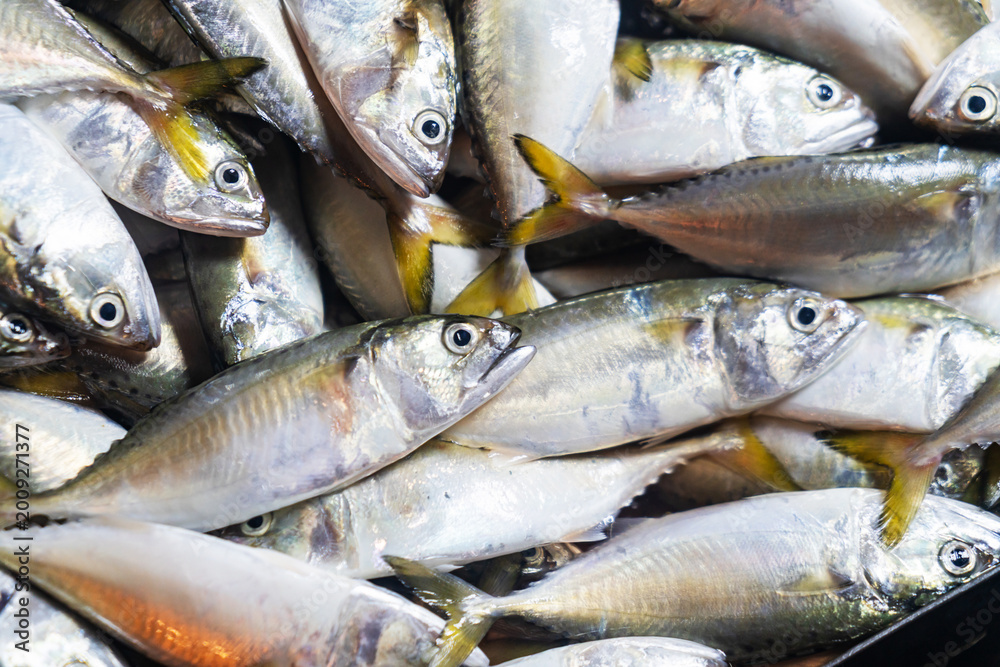 Obraz premium Fresh Silver Fish Close-Up DIY Market