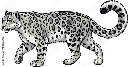 Bild auf Leinwand Stalking snow leopard walking isolated on transparent background beautiful feline hunter big cat predatory wild animal art