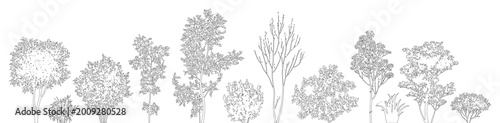 Fotografía Minimal style CAD tree silhouette line drawing, Side view, set of graphics mixed trees elements outline symbol for architecture landscape design drawing