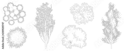 Bild auf Leinwand Minimal style CAD tree and shrub top view and side view drawing, Set of graphics vegetation elements outline symbol for architecture landscape design plan