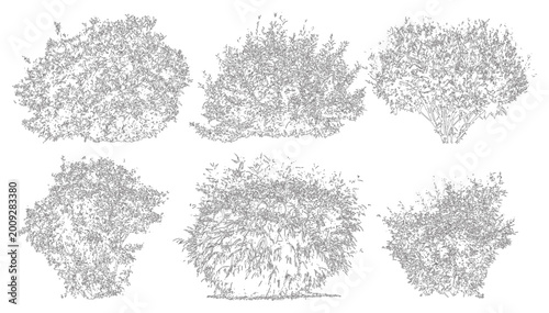 Obraz na plátně Minimal style CAD shrub line drawing, Side view, set of graphics bushes elements outline symbol for architecture landscape design drawing